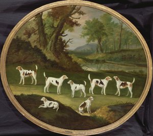 लकड़ी के परिदृश्य में बाधाएं