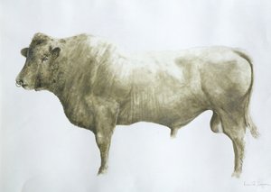 इस्ले बैल, 2004 (कैनवास पर एक्रिलिक)