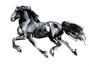 फ्लाइंग फ्राइज़ियन, 2015, (कागज पर चीनी स्याही)