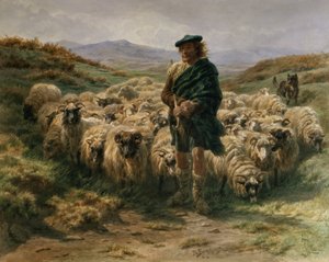 हाइलैंड शेफर्ड, जल रंग