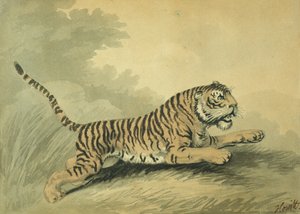 एक बाघिन दाईं ओर छलांग लगाते हुए 1807