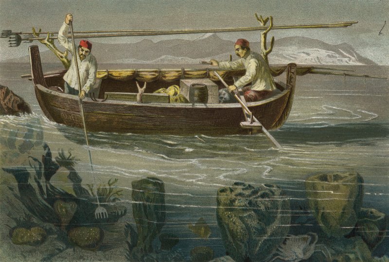 Dalmatian तट पर स्पंज मत्स्य पालन द्वारा यूरोपीय स्कूल
