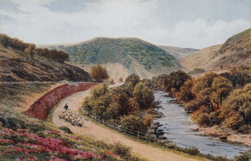Wye पर Rhayader द्वारा अल्फ्रेड रॉबर्ट क्विंटन