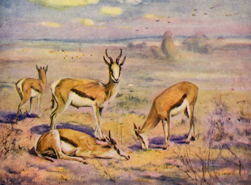  द्वारा कटहबर्ट एडमंड स्वान