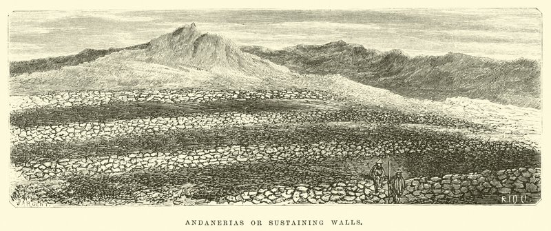 अंडानियास या स्थायी दीवारें द्वारा एडौर्ड रिउ