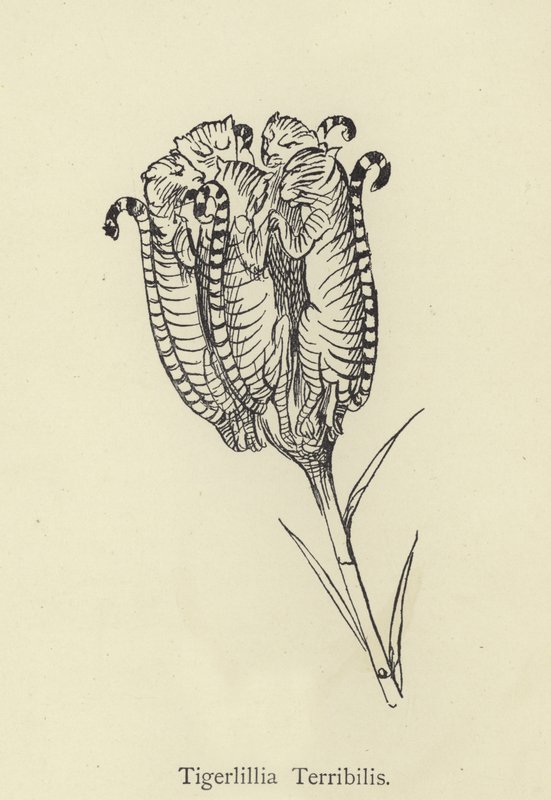 भयानक Tigerlillia द्वारा एडवर्ड लीयर