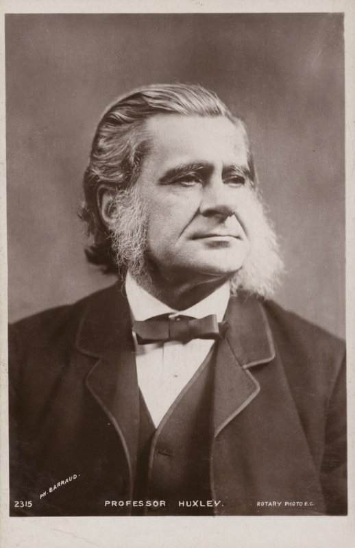 थॉमस हेनरी हक्सले (1825-1895, अंग्रेजी जीवविज्ञानी द्वारा अंग्रेजी फोटोग्राफर