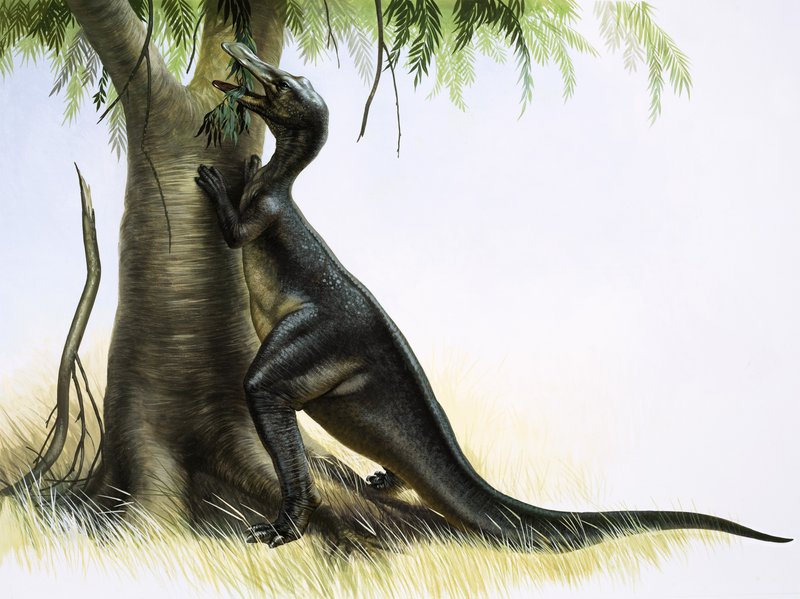 Anatosaurus द्वारा अंग्रेजी स्कूल