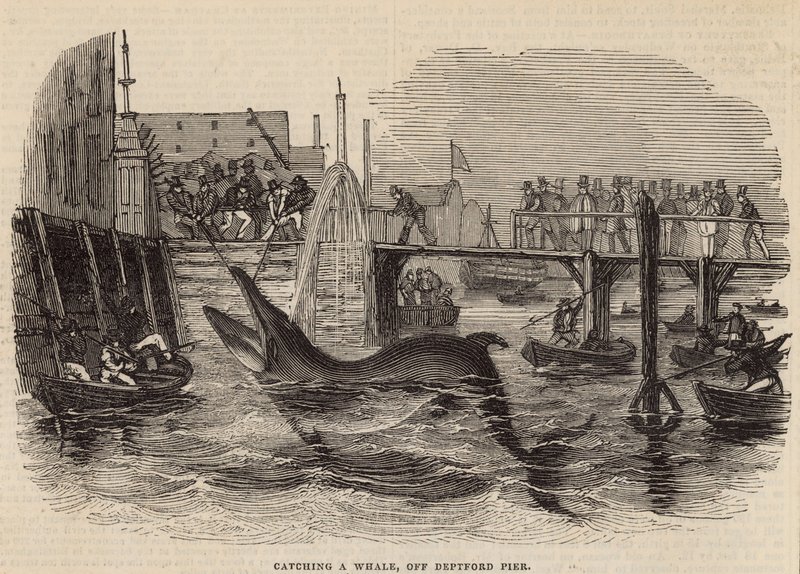 Deptford Pier से एक व्हेल को पकड़ना द्वारा अंग्रेजी स्कूल