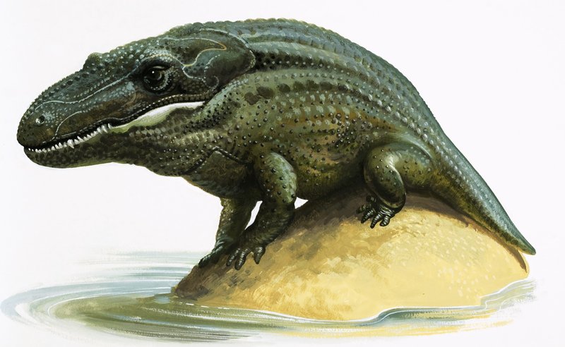 Mastodosaurus द्वारा अंग्रेजी स्कूल