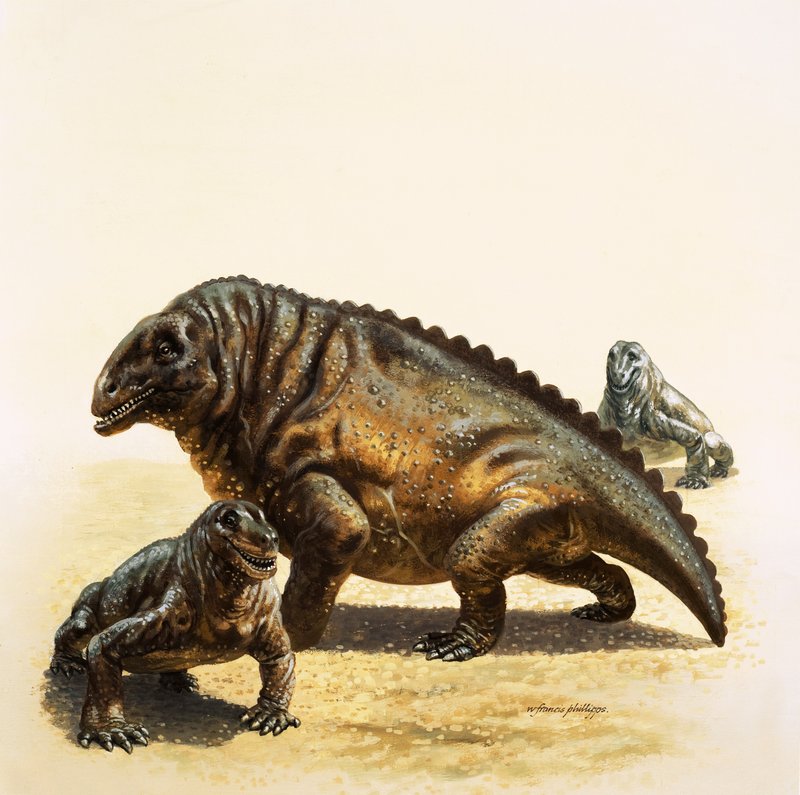 Moschops द्वारा अंग्रेजी स्कूल