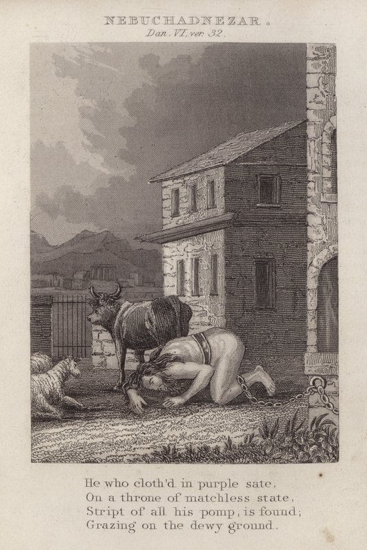नबूकदनेस्सर, दानिय्येल VI, वर् 32 (उत्कीर्णन) द्वारा अंग्रेजी स्कूल