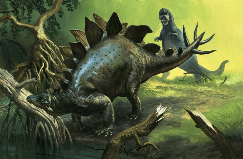 Stegosaurus द्वारा अंग्रेजी स्कूल