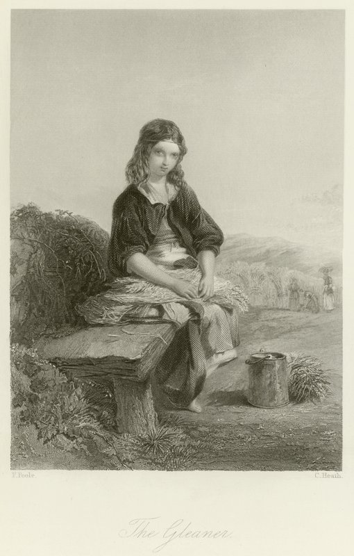 Gleaner द्वारा अंग्रेजी स्कूल