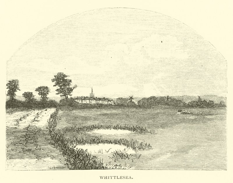 Whittlesea द्वारा अंग्रेजी स्कूल