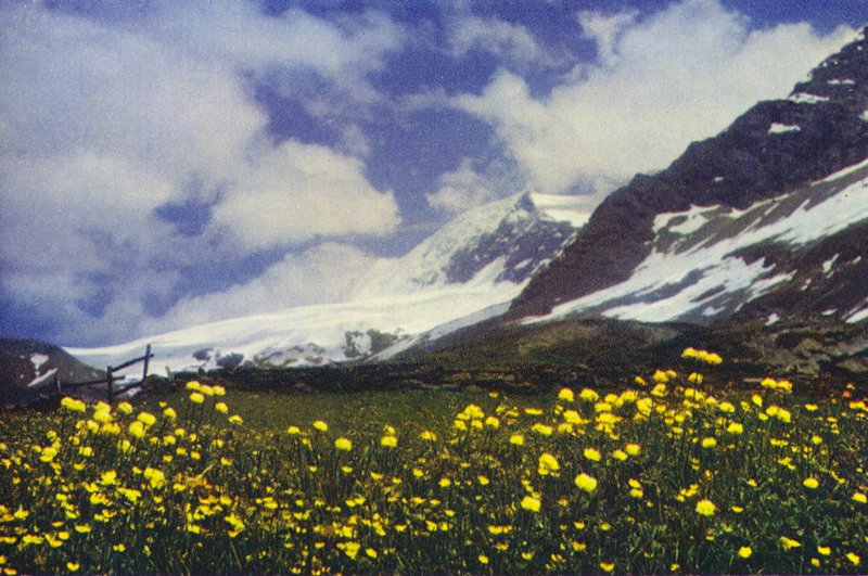  द्वारा फ्रांसिस सिडनी स्मिथे