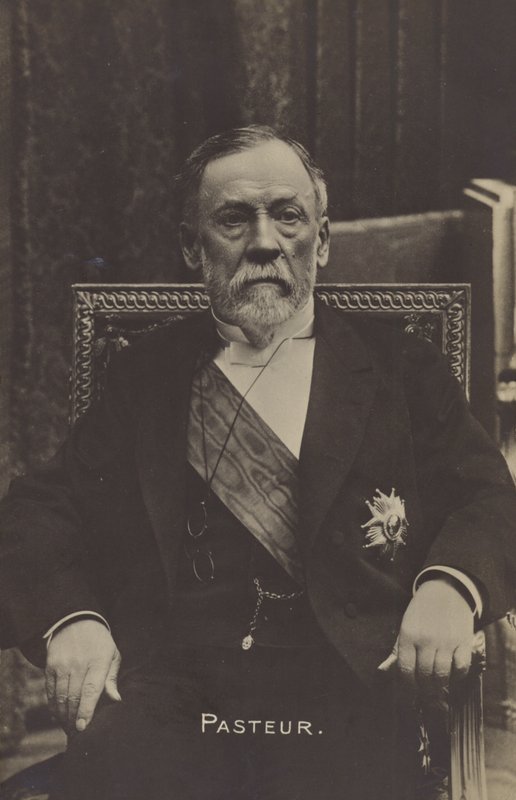 लुई पाश्चर (1822-1895), फ्रांसीसी रसायनज्ञ और सूक्ष्म जीवविज्ञानी द्वारा फ्रेंच फोटोग्राफर