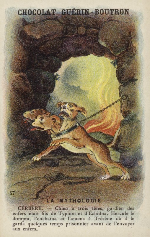 Cerberus द्वारा फ्रेंच स्कूल