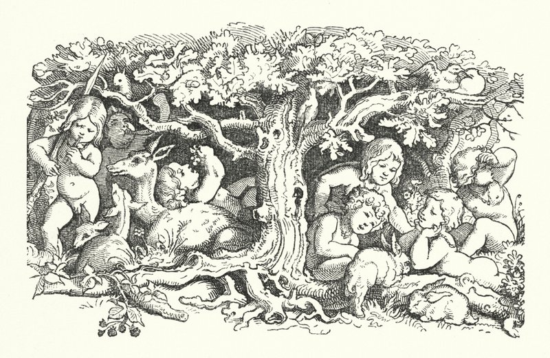 सात हंस (उत्कीर्णन) द्वारा जर्मन स्कूल