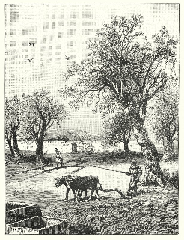 एक दाख की बारी में जुताई (लिथो) द्वारा जेम्स (बाद) क्लार्क