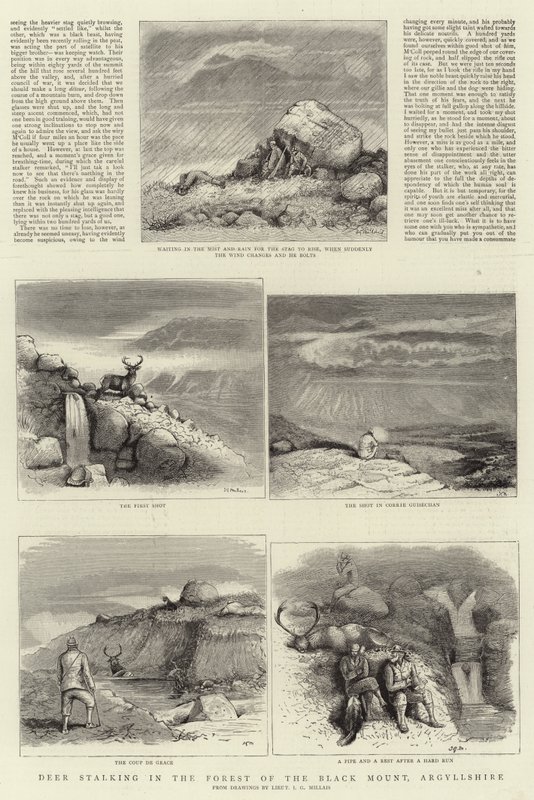 डियर स्टैकिंग इन द फॉरेस्ट ऑफ़ द ब्लैक माउंट, अर्गिलशायर द्वारा जॉन गुइल मिलिस
