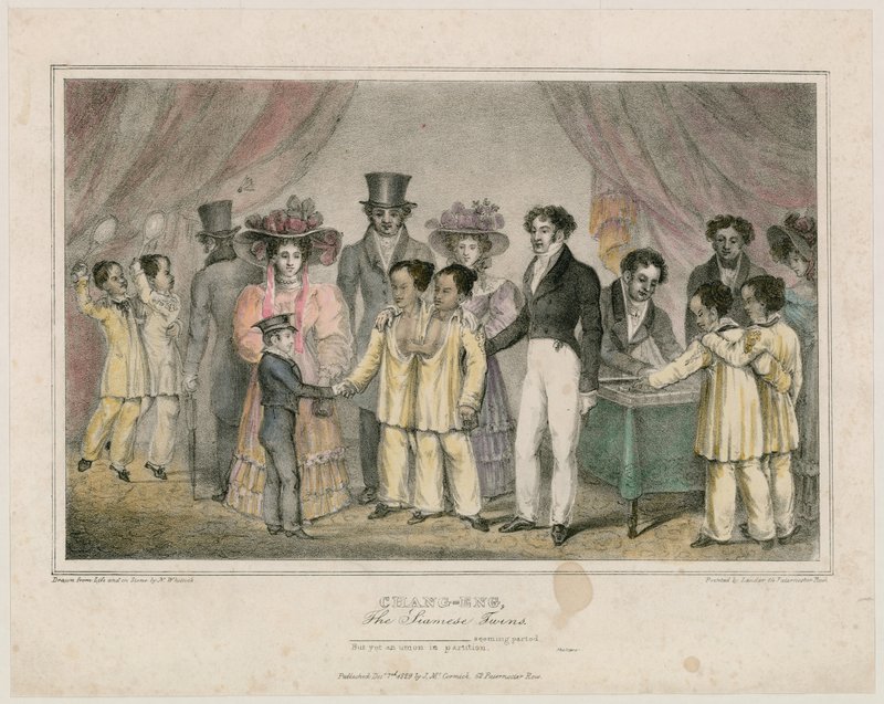 चांग-एंग, सियामिस ट्विन्स, 1829 द्वारा नाथनियल व्हिटॉक