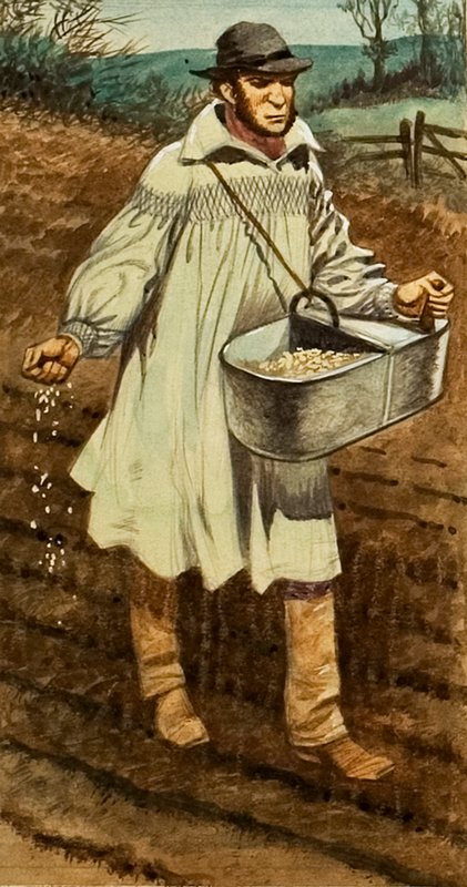 बोवाई द्वारा पीटर जैक्सन