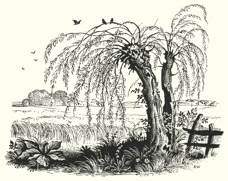 हंस क्रिश्चियन एंडरसन: एक प्रकार का अनाज (लिथो) द्वारा रेक्स (बाद में) व्हिस्लर