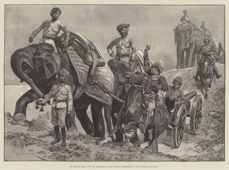 मद्रास प्रेसीडेंसी में एक भारतीय सेना का शिविर, हाथी बैटरी द्वारा रिचर्ड केटन वुडविले जूनियर