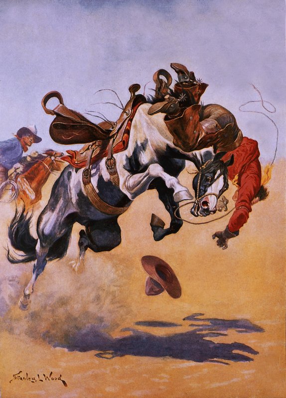 Bucked! द्वारा स्टेनली एल। वुड