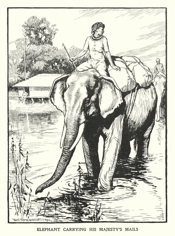  द्वारा थॉमस सोमरफ़ील्ड